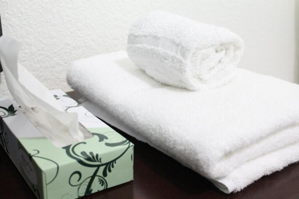 Union Hotel image 28